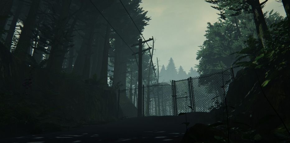 PS4- What Remains of Edith Finch    