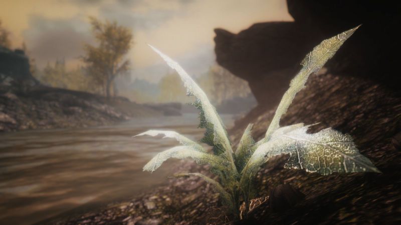Пасхалка: Растение со Skyrim засветилась в Fallout 4