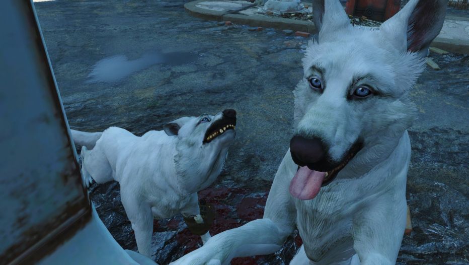 Теперь в Fallout 4 можно поиграть псом
