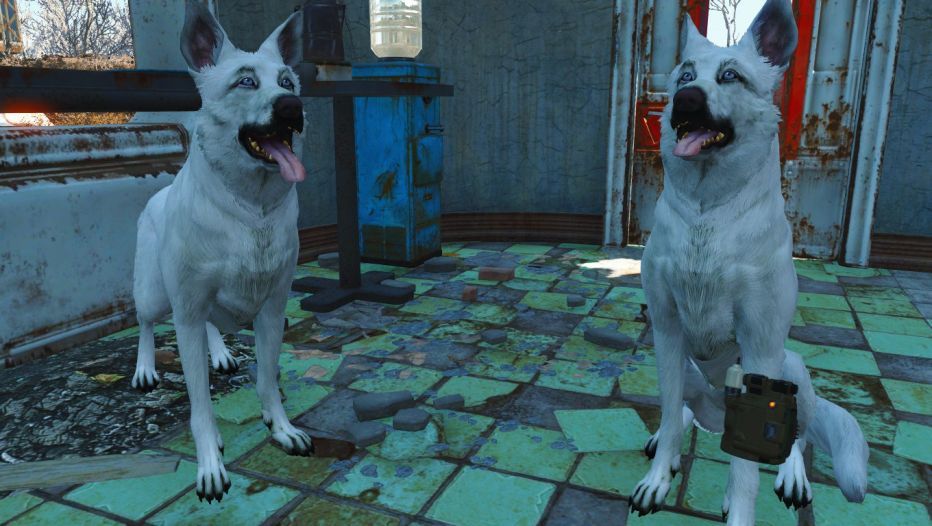 Теперь в Fallout 4 можно поиграть псом
