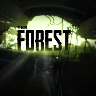  The Forest  Unity 5