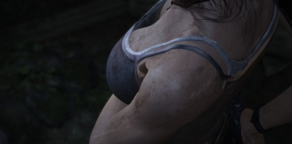 Оценки Rise of the Tomb Raider