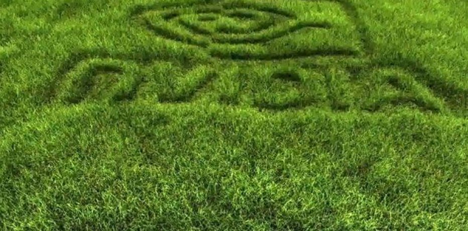 Turf Effects -   