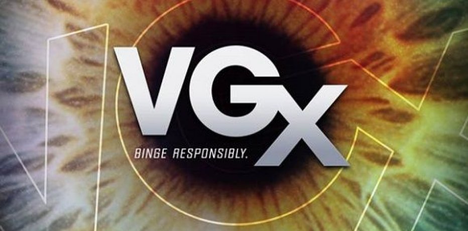  VGX 2013