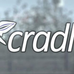 Cradle уже в Steam, но пока недоступна