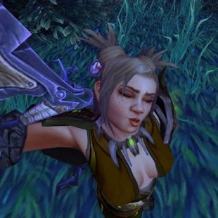 В тестовый мир World of Warcraft добавили селфи-камеру