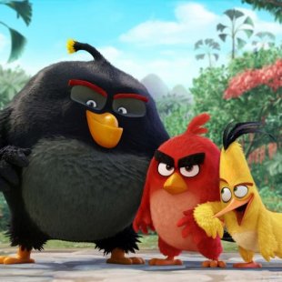  Angry Birds -  