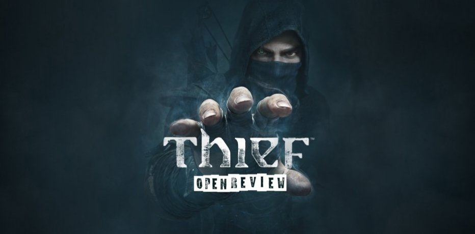 OpenReview Thief