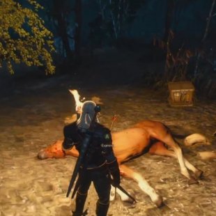 Witcher 3: Wild Hunt - 9    Xbox One