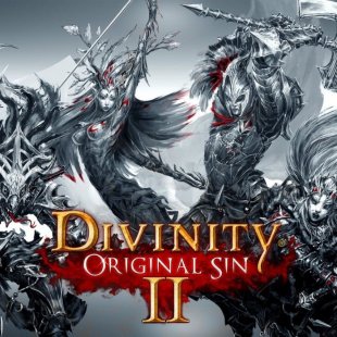 Divinity: Original Sin 2 успешно профинансирована