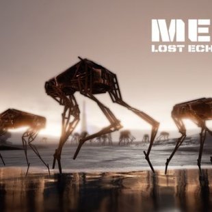     MEG 9: Lost Echoes