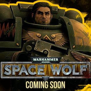   Warhammer 40000: Space Wolf