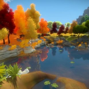 The Witness:    