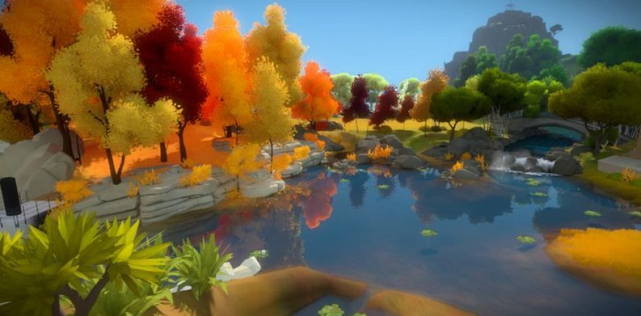 The Witness:    