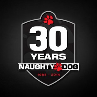 Naughty Dog  30 
