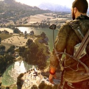   The Following  - Dying Light    