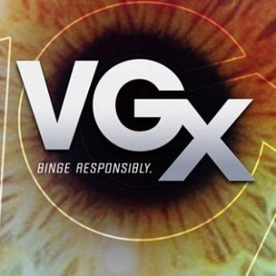  VGX 2013