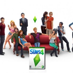   The Sims  