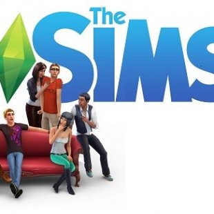   The Sims 4