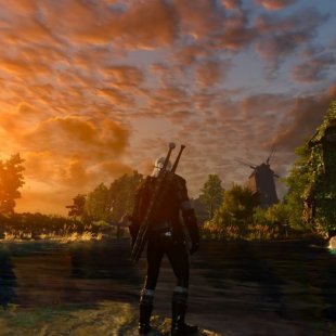 The Witcher 3 -   