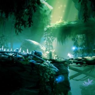  Ori and the Blind Forest: Definitive Edition   2016  ...