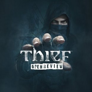 OpenReview Thief