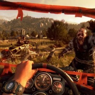  16   Dying Light: The Following