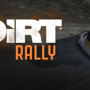  DiRT Rally:   ?