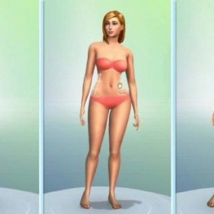   Sims 4