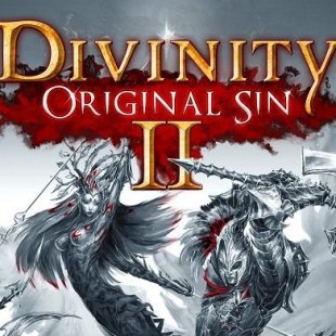  Divinity: Original Sin 2 -  RPG